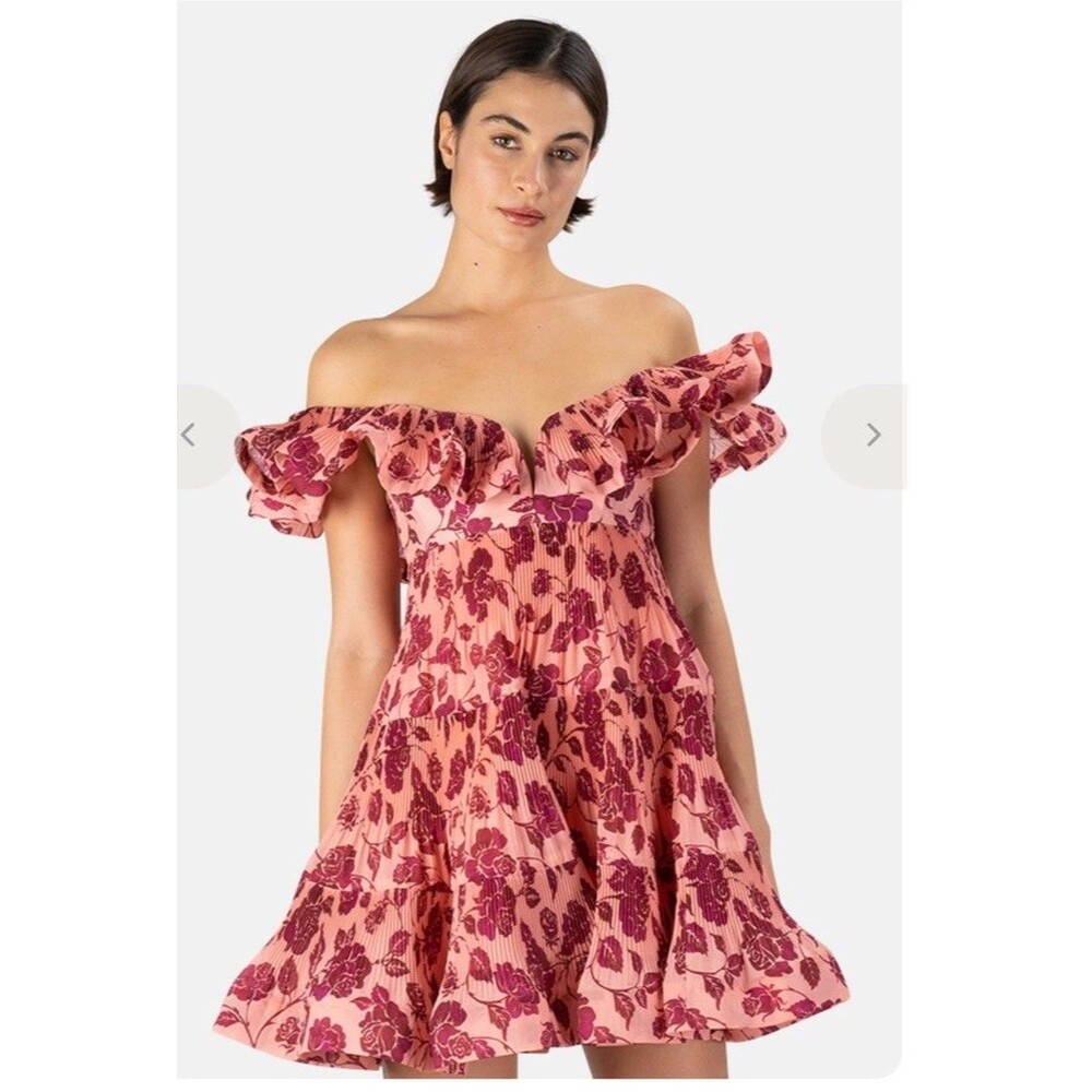 ZIMMERMANN LOVESTRUCK PLEATED MINI DRESS GUAVA/BURGUNDY ROSE Size Medium